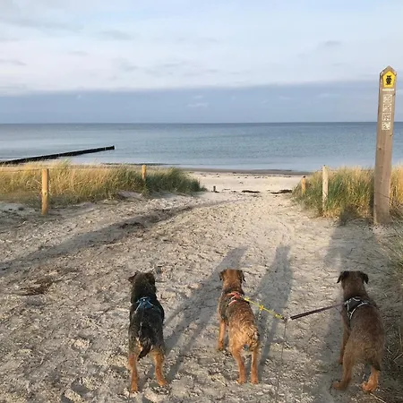 Dom wakacyjny Kranich Pruchten